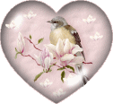 Gif animé coeur oiseau